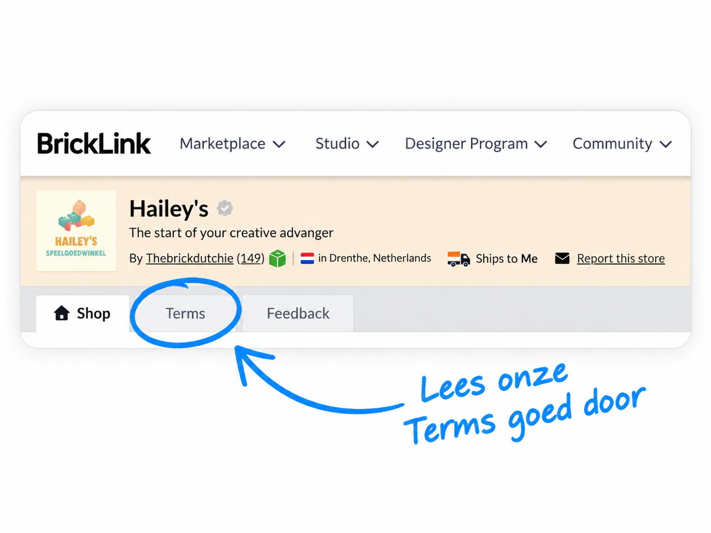 Terms van Hailey's BrickLink winkel